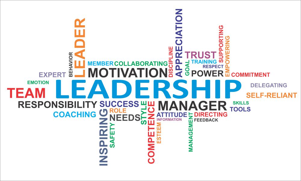 Leadership Development Blue Zenith